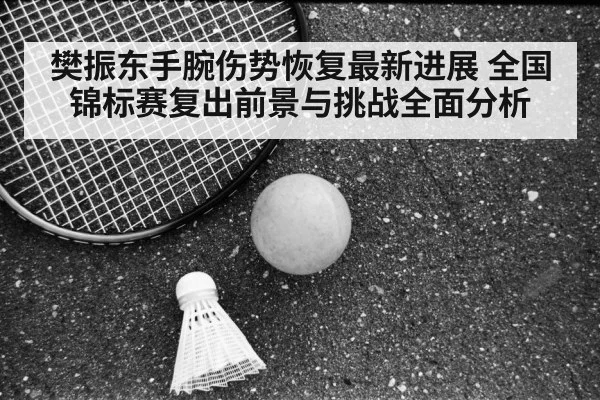 樊振东手腕伤势恢复最新进展 全国锦标赛复出前景与挑战全面分析